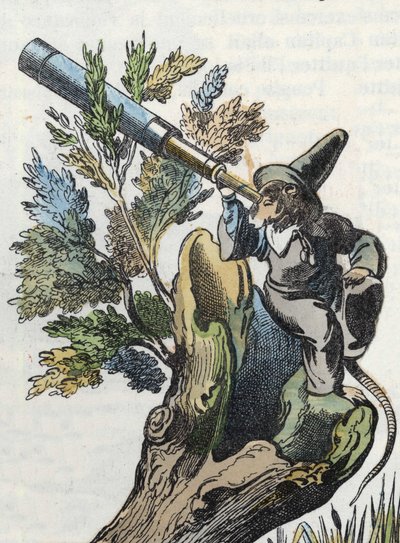 Illustration of 