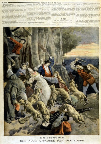 In Hungary: a wedding attacked by wolves - in “Le Petit Journal” of 23/12/1894 by Unknown artist