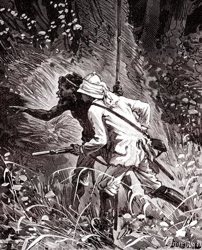 In the Rubber (Hevea) Fields in Guyana Jungle by Unknown artist