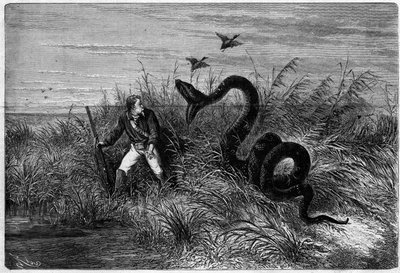 Incident in the savannah of a duck hunt. Excerpt from 