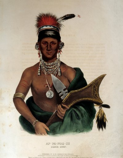 Portrait of an Indian Chief of the Saukie Ap Pa Noo See by Unknown artist