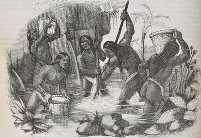 Indians from Island of Hispaniola panning for gold by Unknown artist