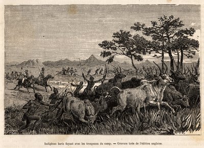 Indigenous Baris (Sudan) fleeing with herds confiscated by Sir Baker. Engraving illustrating an armed expedition by Unknown artist