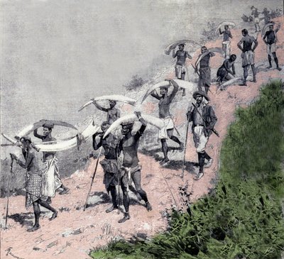 Ivory trade: caravan of Congolese carriers carrying elephant tusks. Engraving of the 19th century. by Unknown artist