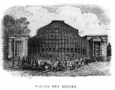 Jardin des Plantes in Paris in 1861: palace of the monkeys by Unknown artist