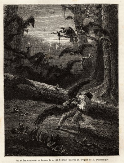 Job (travel companion of the redactor), attacked by vultures. Engraving to illustrate the story Quatre mois en Florida, by M. Pousselgue, in 1851-1852, published in 