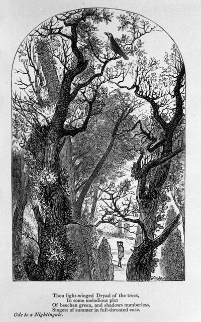 John Keats: Ode to a Nightingale by Unknown artist