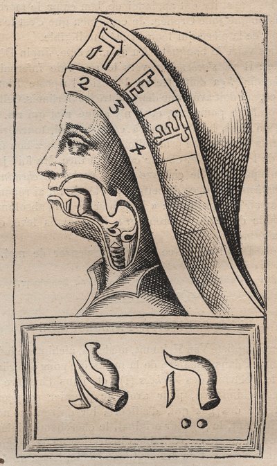 Kabbalah - Illustration from Alphabeti vere naturalis Hebraici brevissima delineatio (The Alphabet of Nature) by Franciscus Mercurius van Helmont by Unknown artist