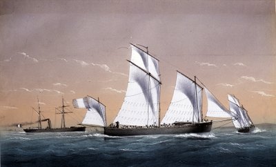 The Universal Fleet - in 