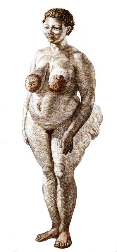 The Hottentot Venus, woman of Bochiman breed, engraving of 1815 by Unknown artist