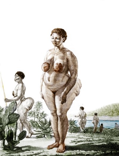 The Hottentot Venus, woman of the Bochiman breed, engraving of 1815. by Unknown artist