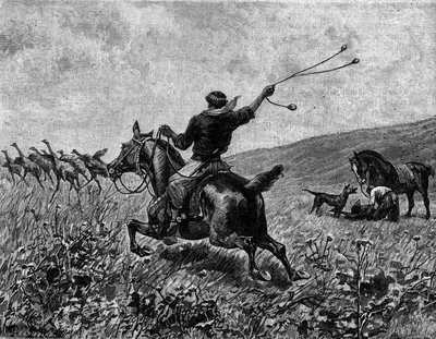 Lasso: hunting cassowary with ball lasso. Engraving in 