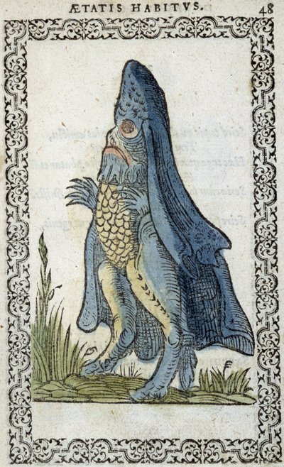 The Sea Enesque - in “Habits et effigies” by Jean Sluperius by Unknown artist