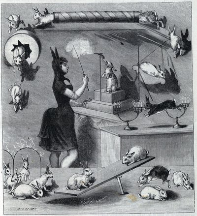 The dressed rabbits of the Nouveau Cirque in Paris: tamer in rabbit costume teaching the different numbers to the animal. Engraving in 