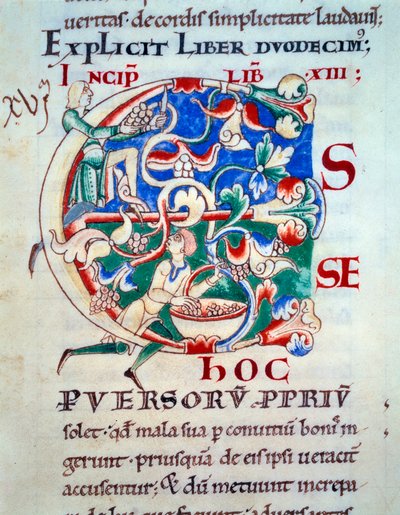Lettrine C; a Vine Early 12th Century. Miniature of the Middle Ages. Manuscript 
