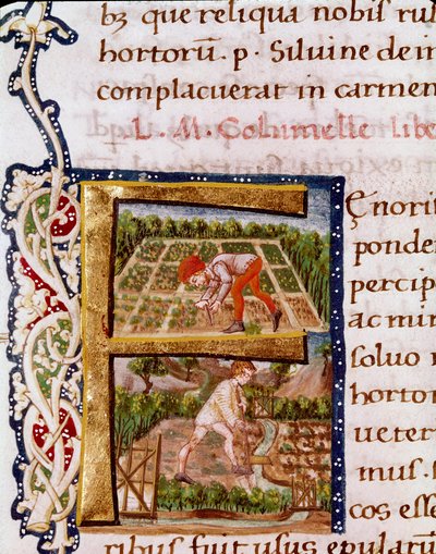 Lettrine F from the Chapter on Horticulture: Scenes of Beaching and Irrigation. Miniature Taken from 