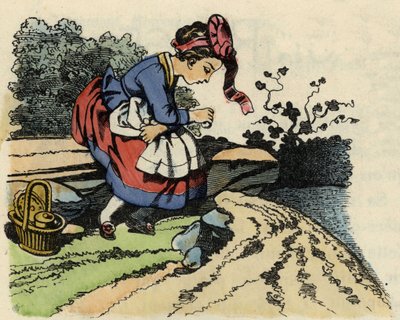 Little Red Riding Hood rests on the way. Illustration of the tale 