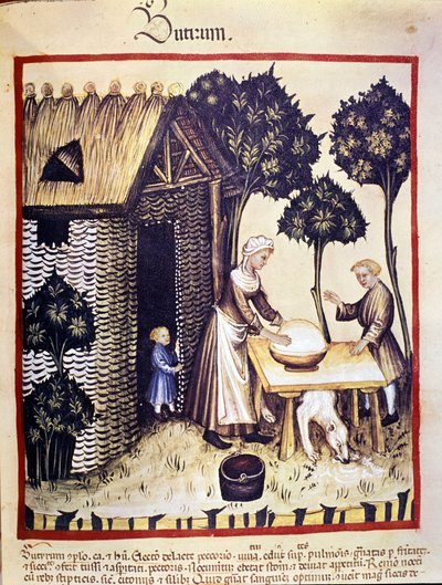 Manufacture of butter. Illumination from the Tacuinum sanitatis by Unknown artist
