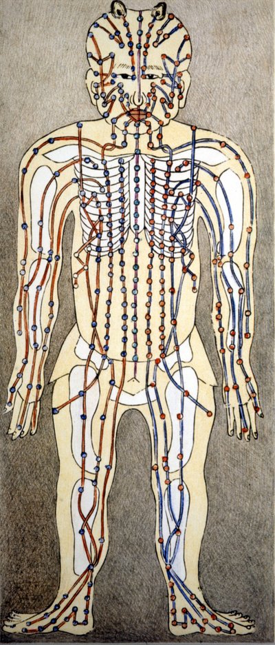 Medicine. Diagram of the human body from a treatise of acupuncture. Private library, Milan by Unknown artist