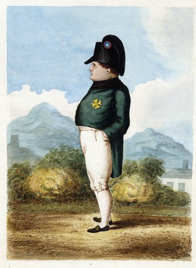 Napoleon Bonaparte on the Island of Saint Helena by Unknown artist