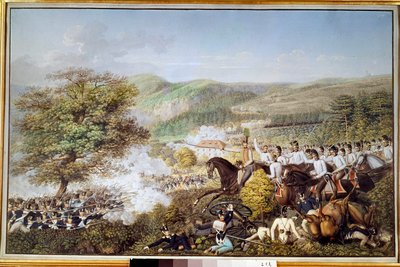 Napoleonic War: 