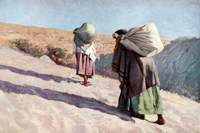 Native American Women from the Hopi Tribe, Arizona by Unknown artist