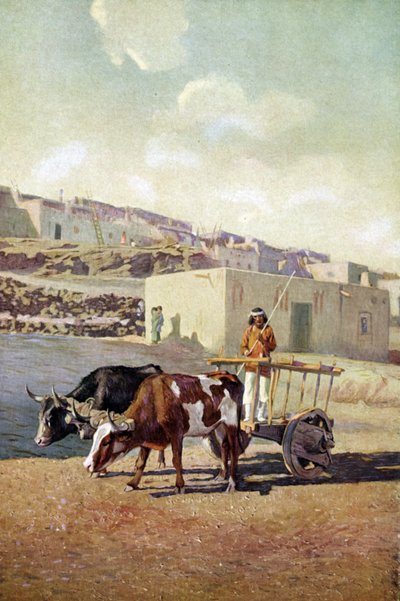 Old Cart Pulled by Two Oxen, Driven by a Native American of the Pueblo People in Laguna, New Mexico by Unknown artist