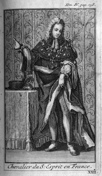 Orders of Knight. Knight of the Holy Spirit (Order of the Holy Spirit) in France in the 16th century. In 
