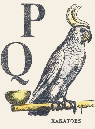 P Q: Cockatoos by Unknown artist