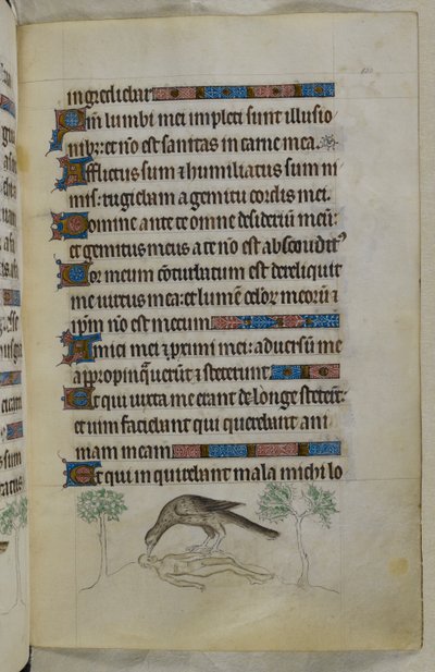 Page from 