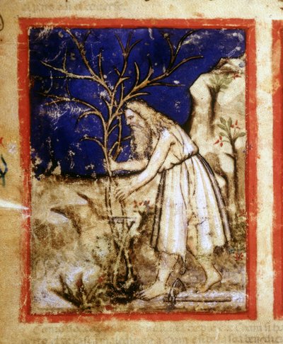 Page of a Bible Manuscript. Noah