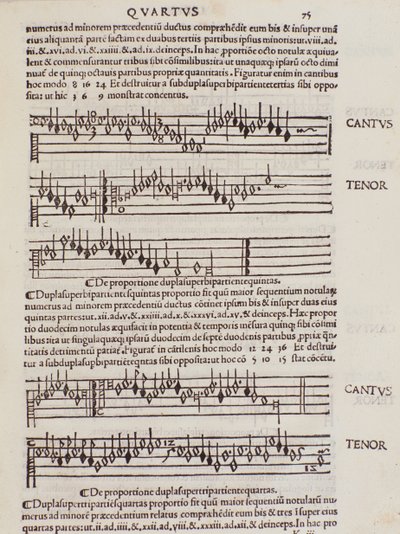 Page from Practica Musicae by Unknown artist