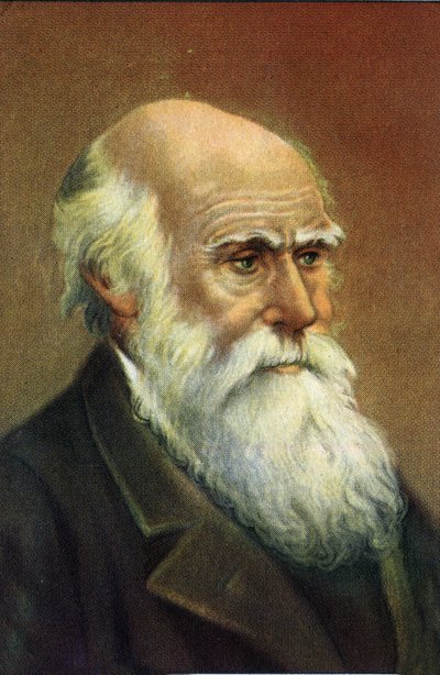 Photographic Portrait of Charles Darwin (1809 - 1882), English Naturalist by Unknown Artist