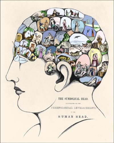 Phrenology: Phrenological Development. 19th Century Engraving by Unknown artist