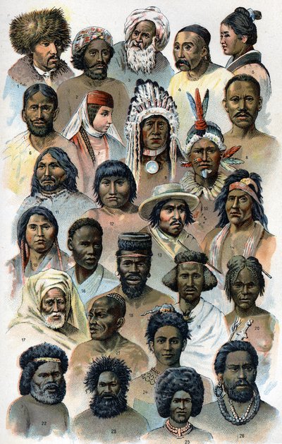 Physiognomy and shape of the head of foreign human races. The new natural medication by F.E. Bilz. 1898. by Unknown artist