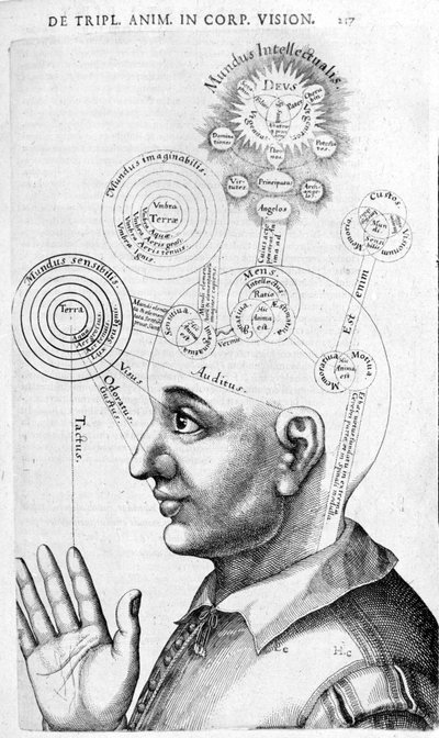 Physiognomy Image (Phrenology) from Collectio Operum by Robert Fludd (Robertus de Fluctibus). London 1617 by Unknown artist
