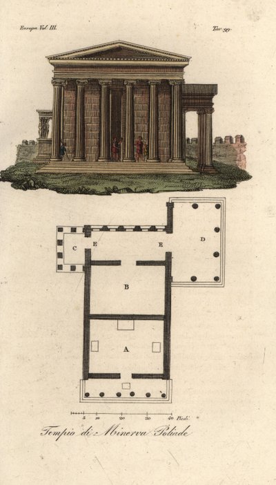 Plan and Elevation of the Erechtheion or Erechtheum, Temple of Neptune, Temple of Minerva Polias with Porch of the Caryatids, and Temple of Pandrosus or Pandrosion by Unknown artist