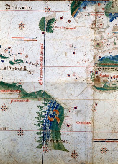 Planisphere of Cantino: Map of Alberto Cantino from 1502 representing the boundary line imposed by the Treaty of Tordesillas (1494) between Portuguese and Spanish America. Biblioteca Estense, Modena by Unknown artist