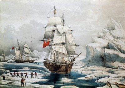 Polar Expedition in the Arctic: English and American Ships Trapped in Ice by Unknown artist