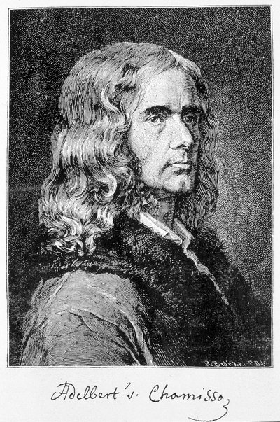 Portrait of Aldebert Von Chamisso de Boncourt, German writer and scholar of French origin by Unknown artist