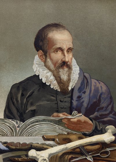 Portrait of Ambroise Paré (1509-1590), French Surgeon. From La Ciencia y sus Hombres by Louis Figuier. Barcelona 1881 by Unknown artist