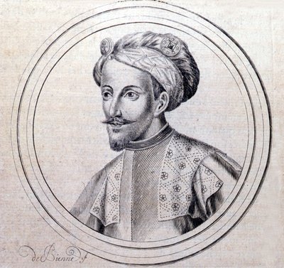 Portrait of Amedee V de Savoie dit Le Grand (1249 - 1324) (Amedeo VI di Savoia detto il Grande) in Genealogique Histoire de la royale maison de savoye by Samuel Guichenou, Lyon 1660 by Unknown artist