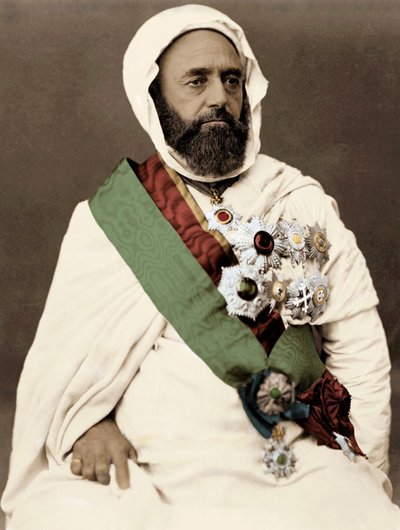 Portrait of Ben Mahi Ed Din Abd El Kader (Abd El-Kader) (1808-1883) Emir Algerian by Unknown artist