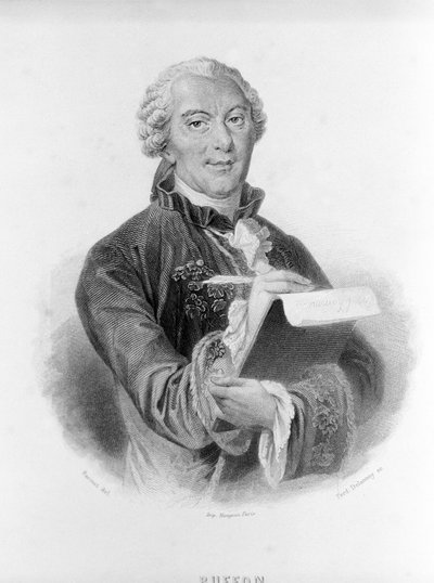 Portrait of Buffon (1707 - 1788), French naturalist and writer by Unknown artist