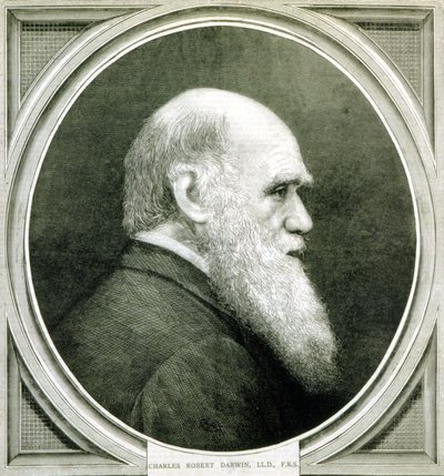 Portrait of Charles Darwin (1809 - 1882) by Unknown artist