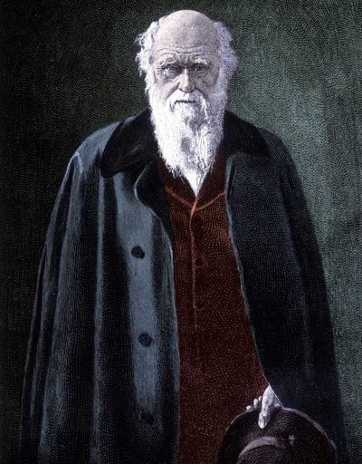 Portrait of Charles Darwin by Unknown artist