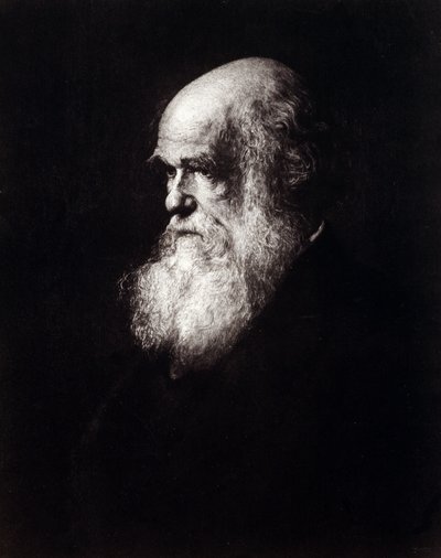 Portrait of Charles Robert Darwin (1809 - 1882) by Unknown artist