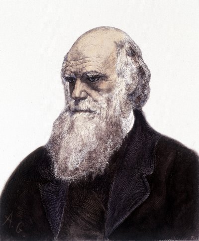 Portrait of Charles Robert Darwin, British Naturalist (1809-1882) by Unknown artist