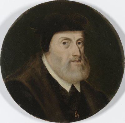 Portrait of Charles V by Unknown artist