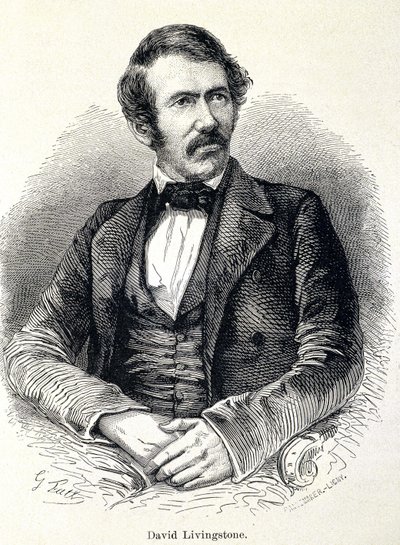 Portrait of David Livingstone by Unknown artist